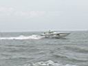 2007 Leukemia Cup Run 058 (Large).jpg